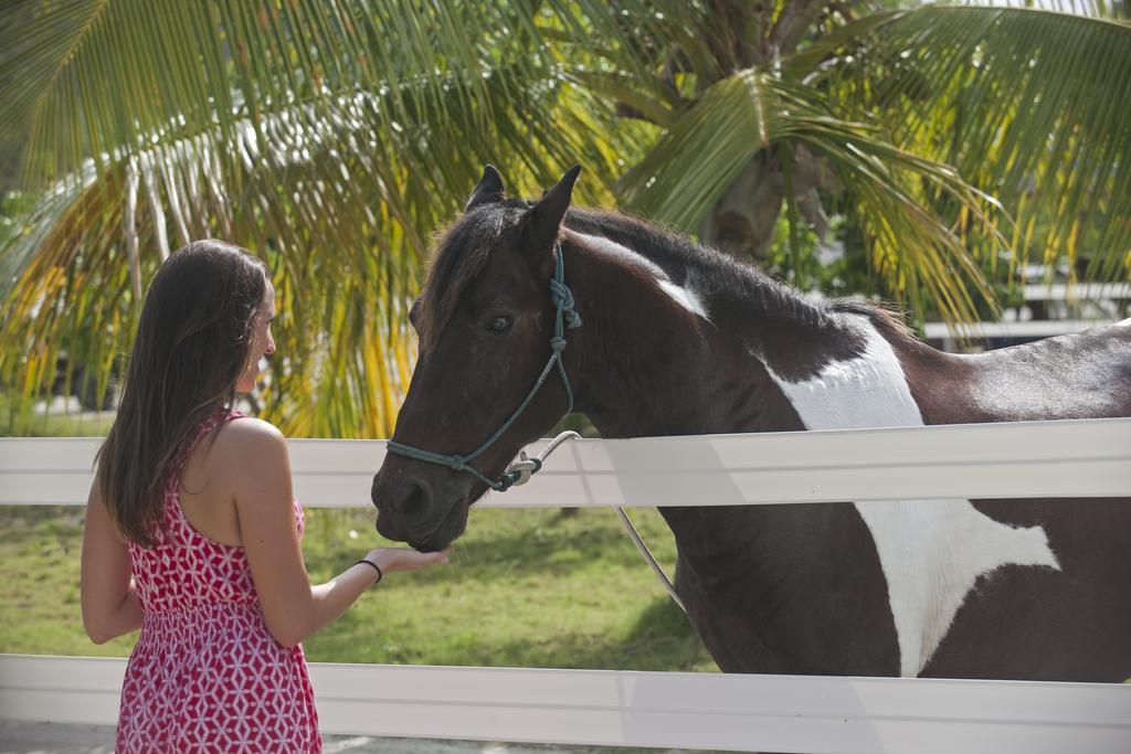 Biras Creek Resort Spanish Town Bagian luar foto